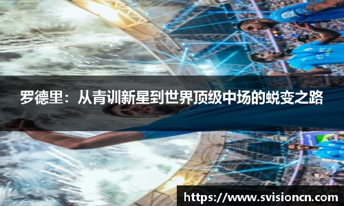 MK体育